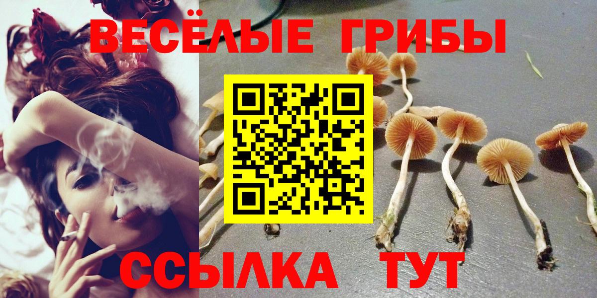 Псилоцибиновые грибы GOLDEN TEACHER Богданович
