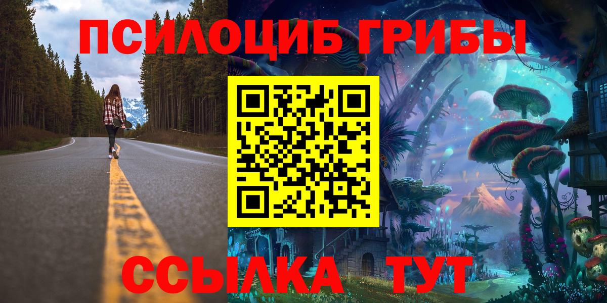 Галлюциногенные грибы мицелий  Вход с VPN  магазин  наркотиков  Псилоцибиновые грибы Psilocybine cubensis  Богданович 